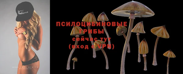 ПСИЛОЦИБИНОВЫЕ ГРИБЫ Алексеевка