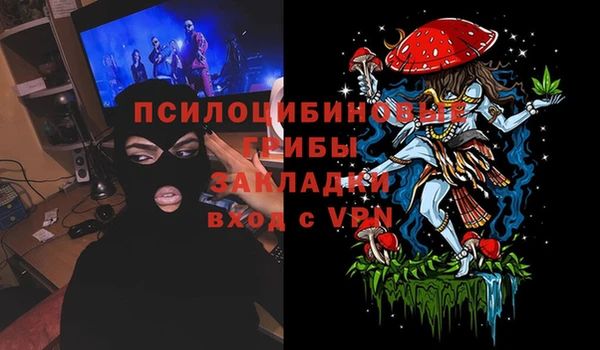 ПСИЛОЦИБИНОВЫЕ ГРИБЫ Алексеевка