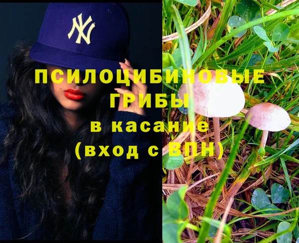 спайс Алексин