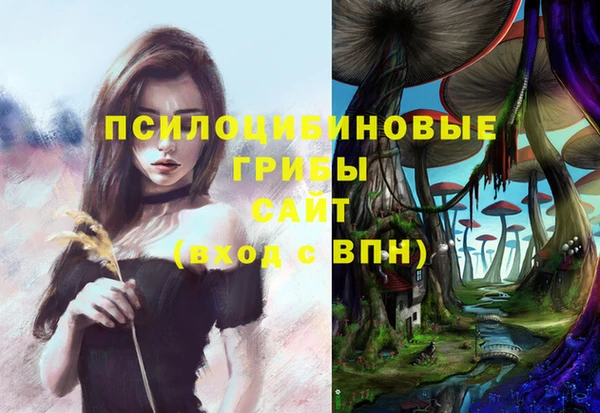 прущая мука Алзамай