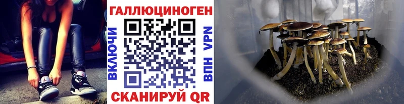 наркошоп  Дзержинский  Псилоцибиновые грибы Psilocybine cubensis 